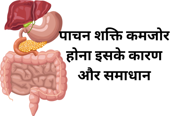 पाचन शक्ति