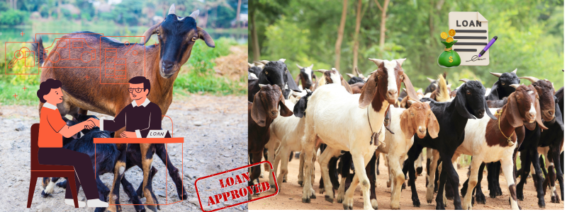 Bakri Palan Business Loan
